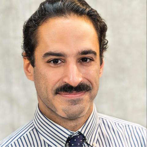 Profile photo of Dr. Afshin Saadtisohi , 